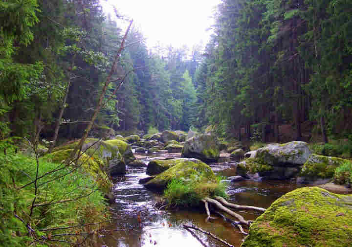 Nothing relaxes more than Mother Nature