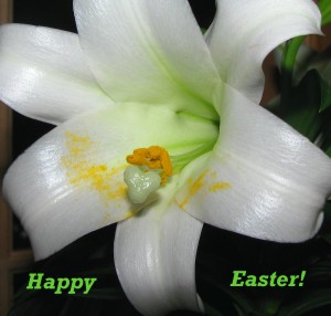 easter easter