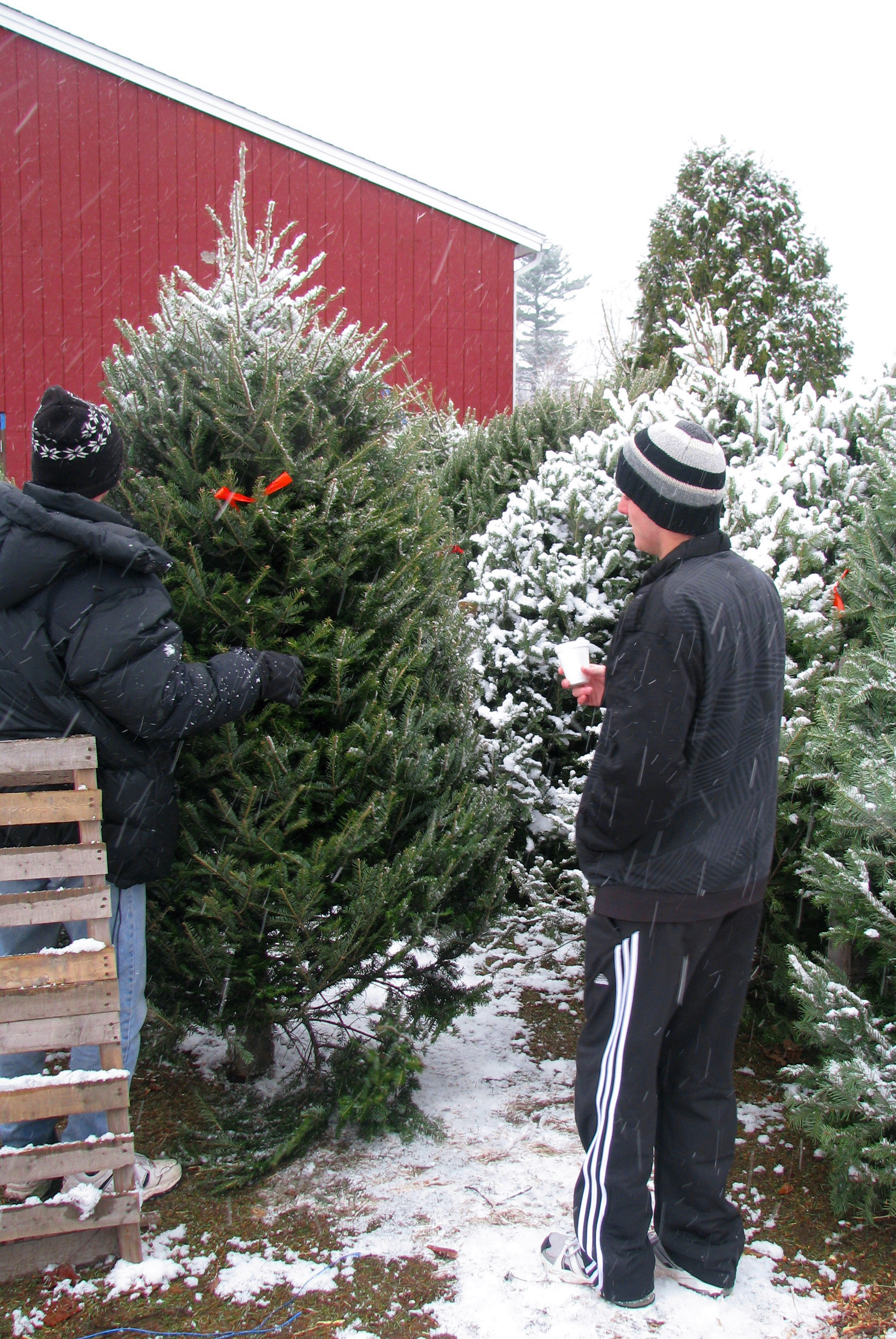 Christmas tree